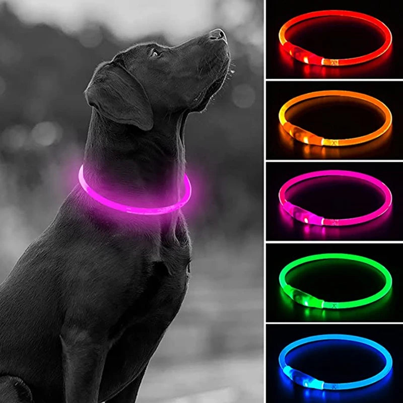 LED Dog Collar with USB Rechargeable Light - Safety Glow Collar