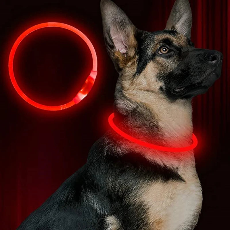 LED Dog Collar with USB Rechargeable Light - Safety Glow Collar