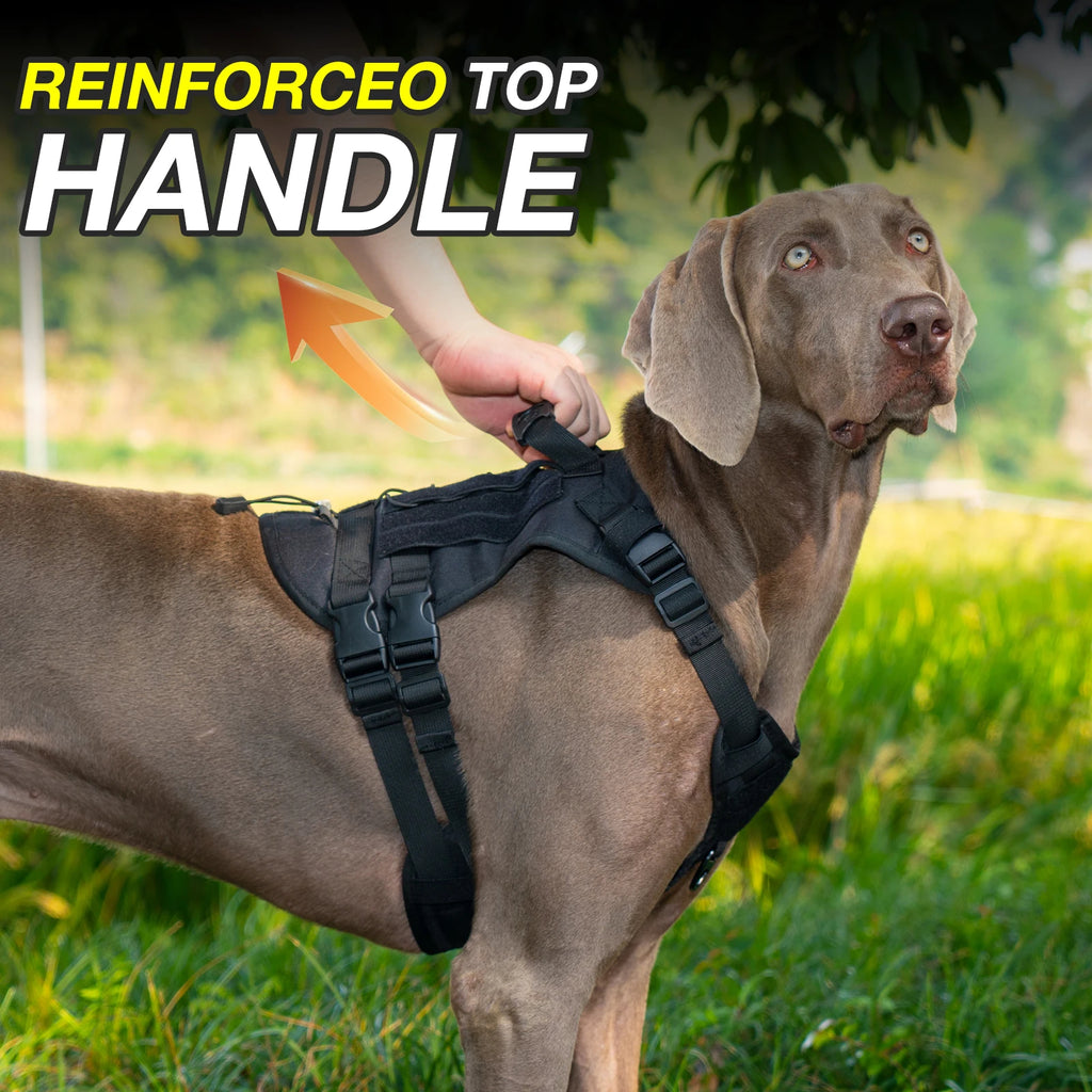 No-Pull Dog Harness with Reflective Strips - Adjustable & Escape-Proof