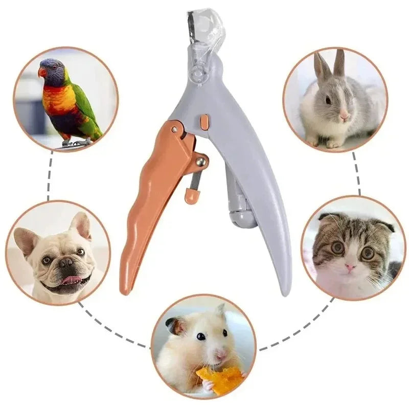 Electric Pet Nail Trimmer with LED Light-Quiet Grinder for Dogs & Cats
