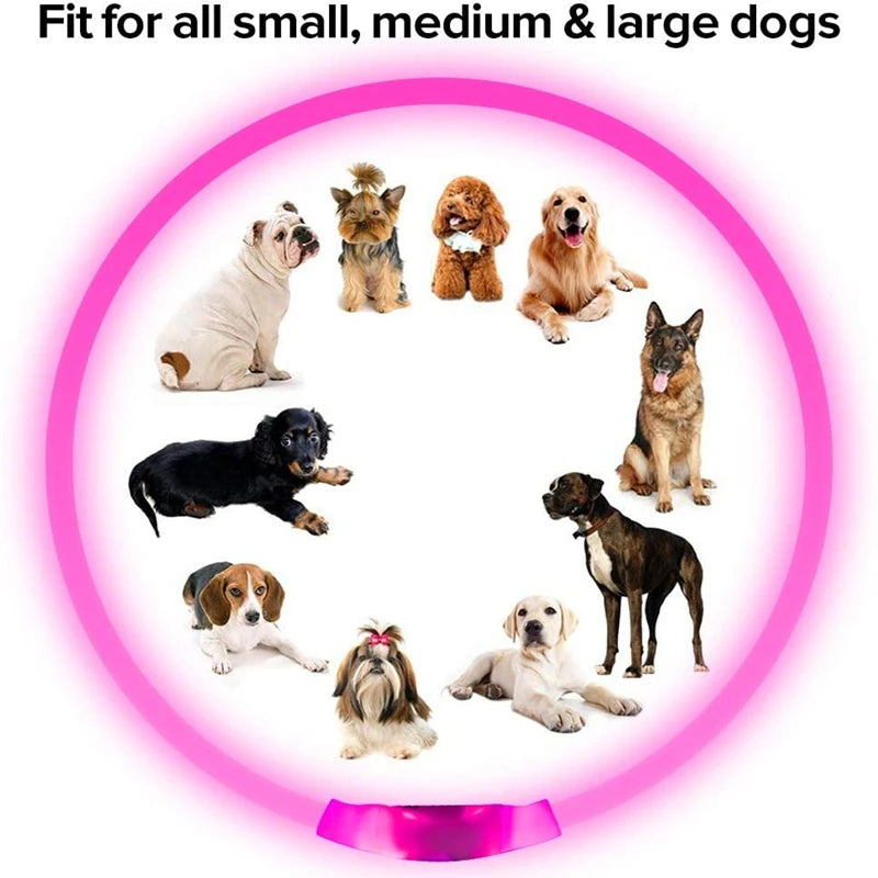 LED Dog Collar with USB Rechargeable Light - Safety Glow Collar