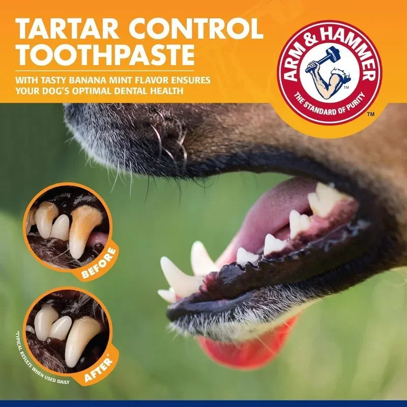 Pet Dental Care Kit - Dog and Cat Toothbrush and Enzymatic Toothpaste Set