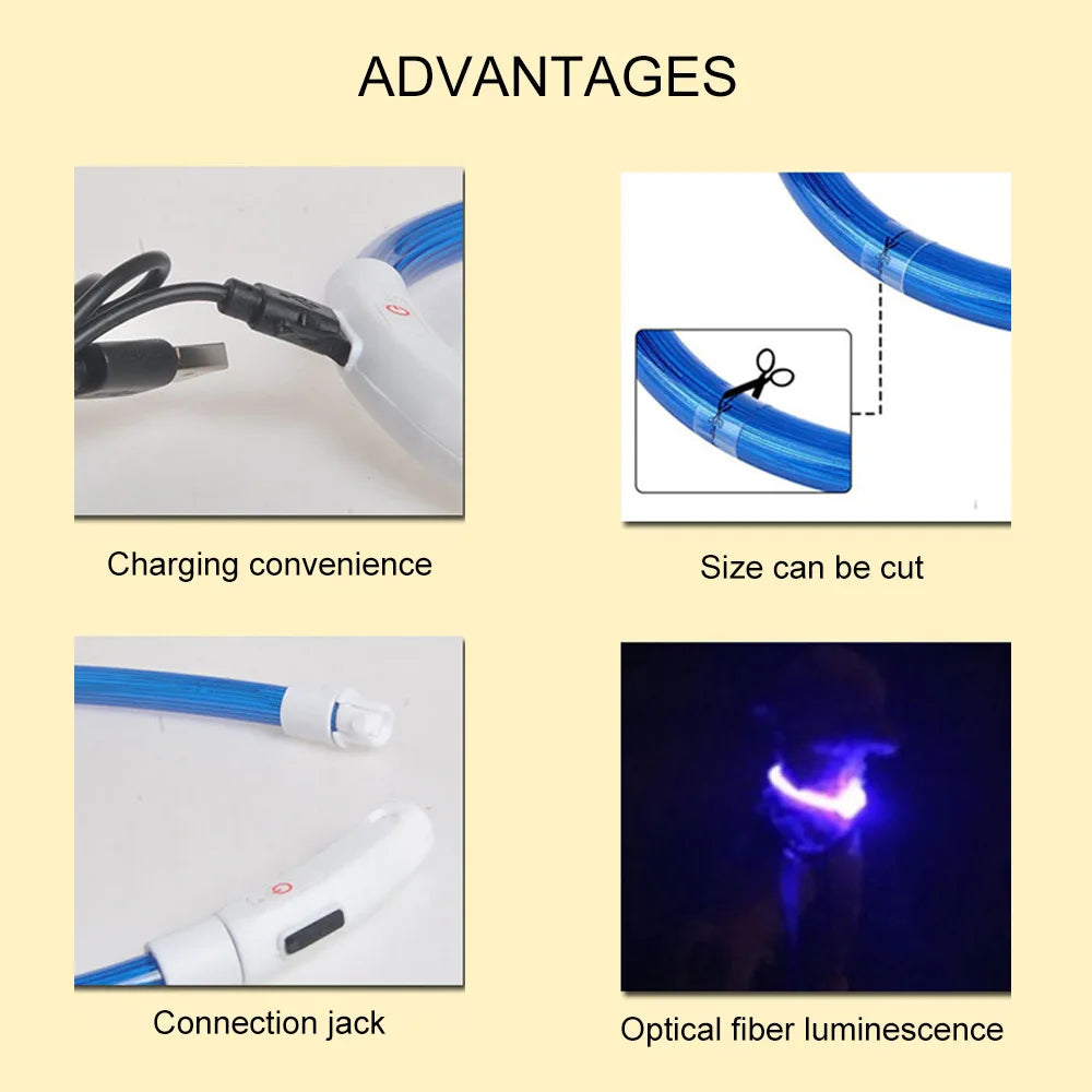 LED Dog Collar with USB Rechargeable Light - Safety Glow Collar