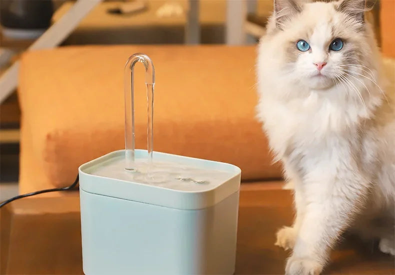 Pet Water Fountain — Ultra-Quiet Automatic Cat & Dog Water Dispenser with Filter