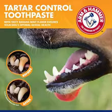Pet Dental Care Kit - Dog and Cat Toothbrush and Enzymatic Toothpaste Set
