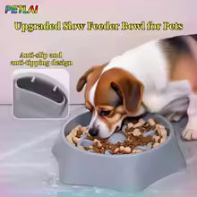 Slow Feeder Dog Bowl - Anti-Bloat Puzzle Feeding Bowl
