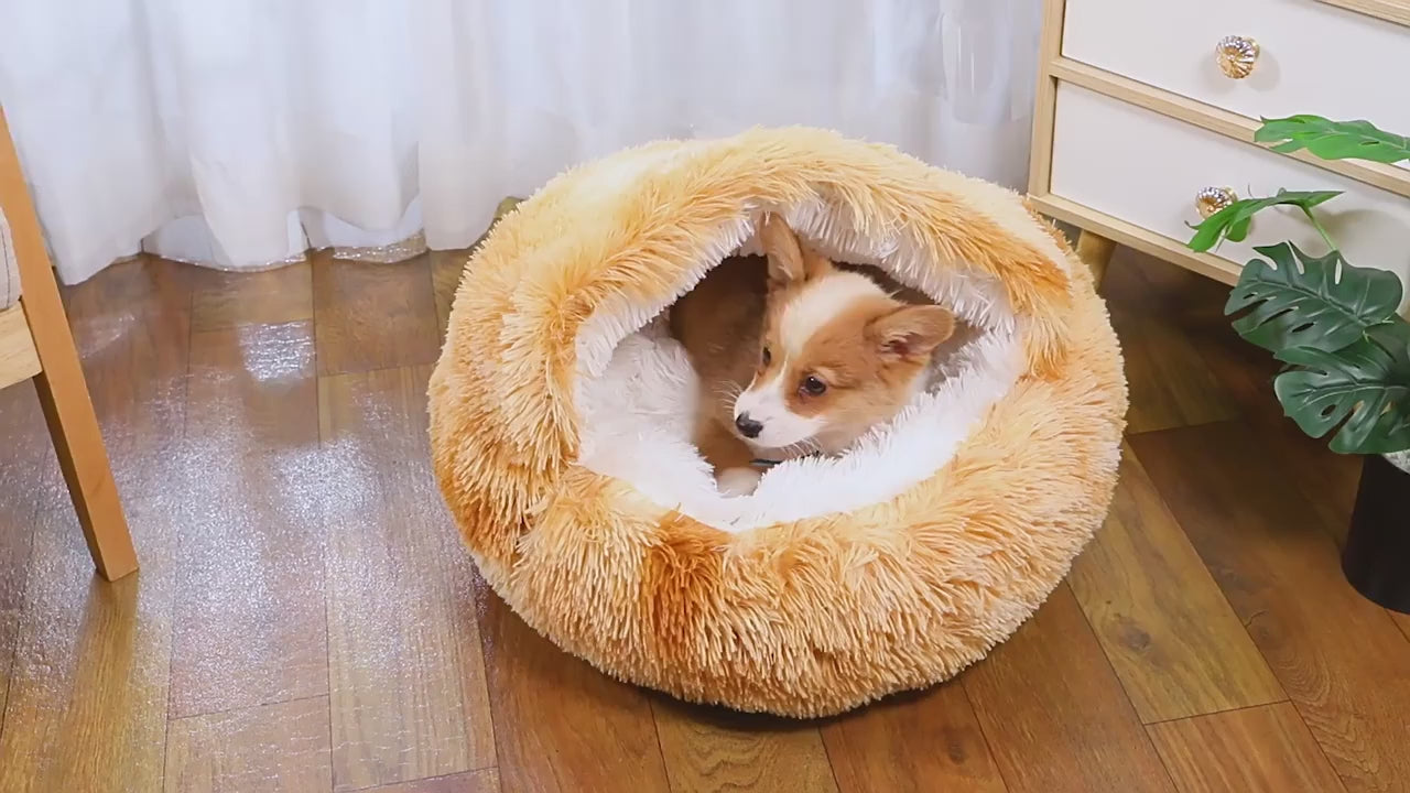Cozy Cat Cave Bed - Hooded Igloo Design with Removable Cushion